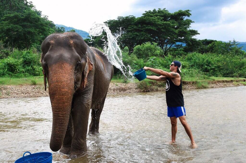 elephant nature park chiang mai thailand bathing elephants