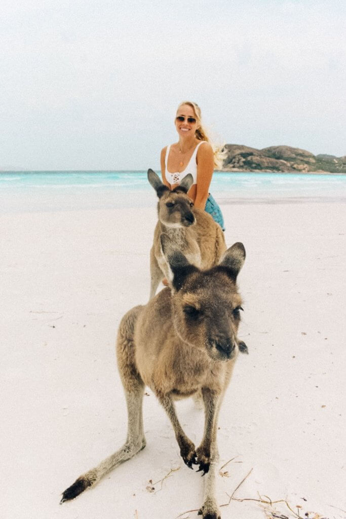 couples coordinates esperance western australia alex at lucky bay with kangaroos