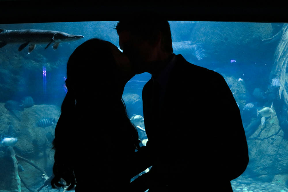 Aquarium