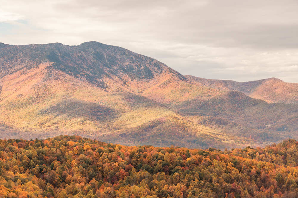 Great Smoky Mountains
