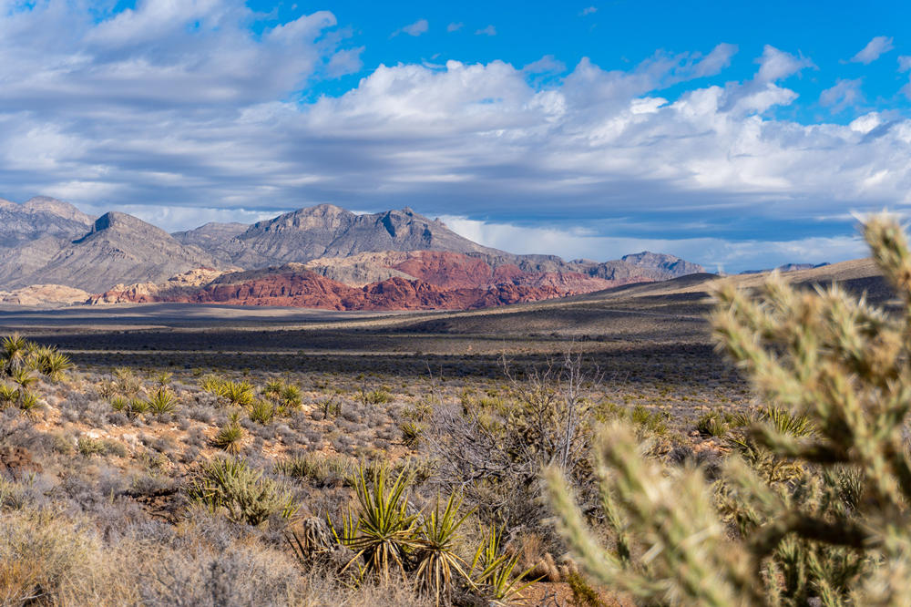 Red Rock Canyon