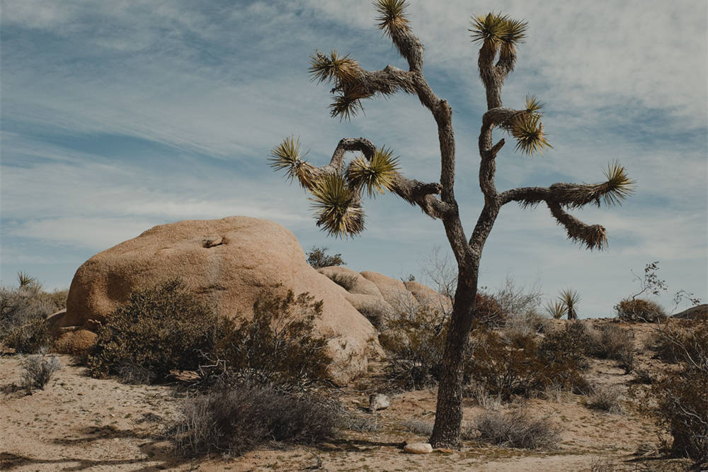Destinations With a Panam Inspired Atmosphere