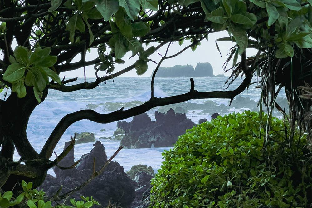 Waiʻānapanapa State Park