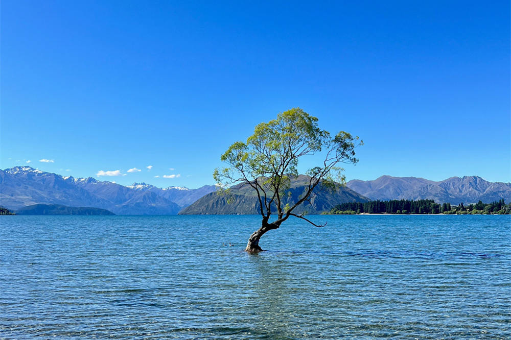 Wānaka